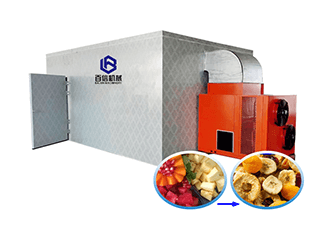 Fruit dryer machine